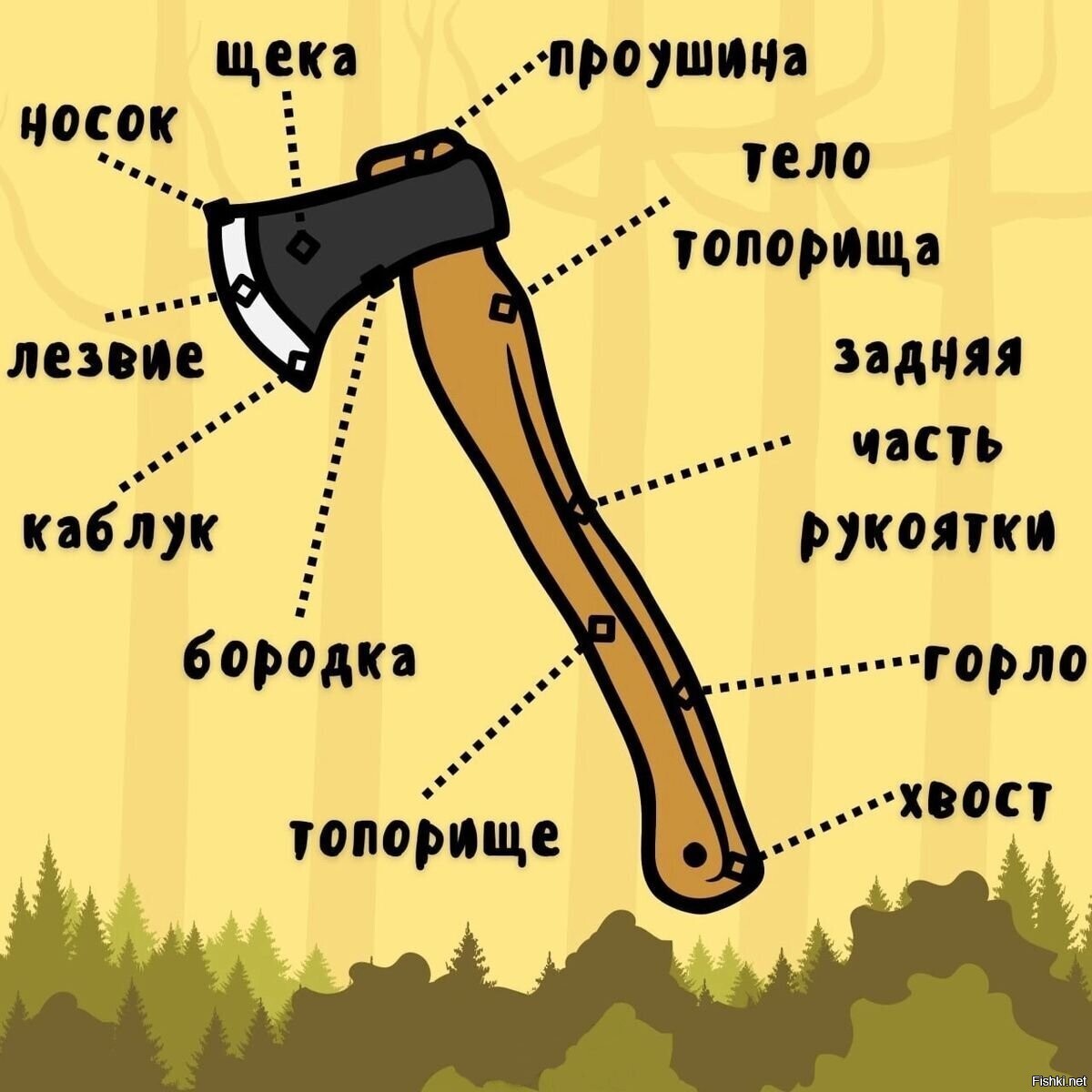 Солянка