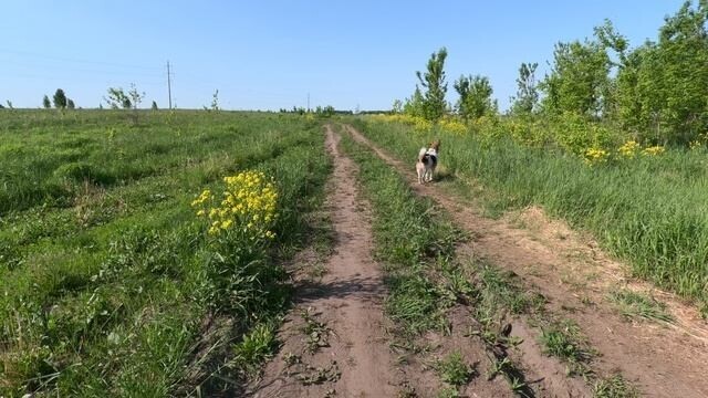 Утрешний ролик (: но уже с Рутуба