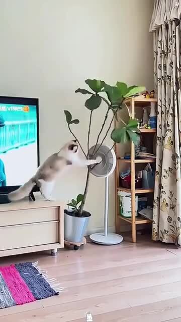 Доброе утро