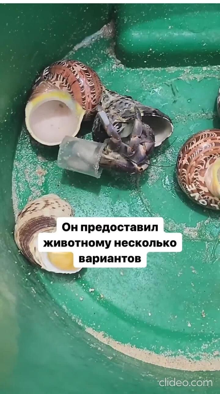 Все мы , в какой- то степени , экологи