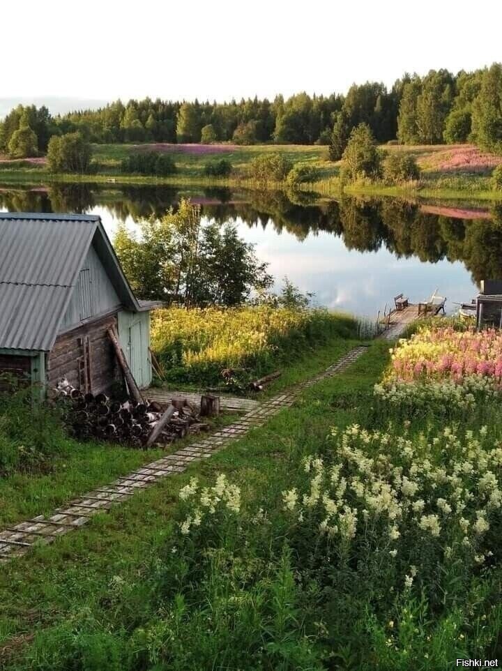 Солянка
