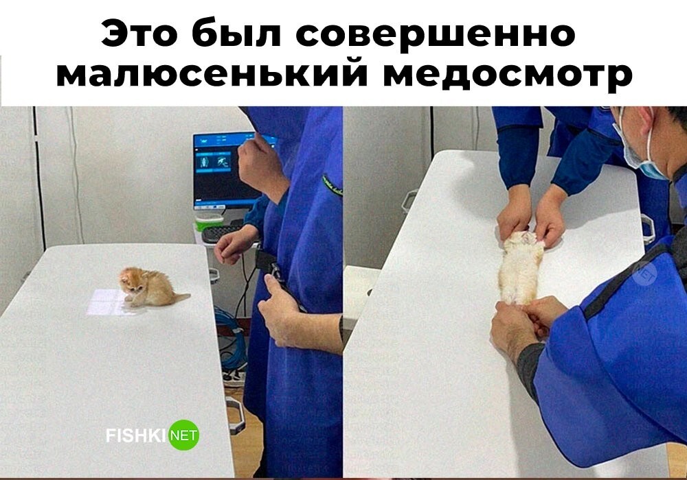 Скрины из соцсетей