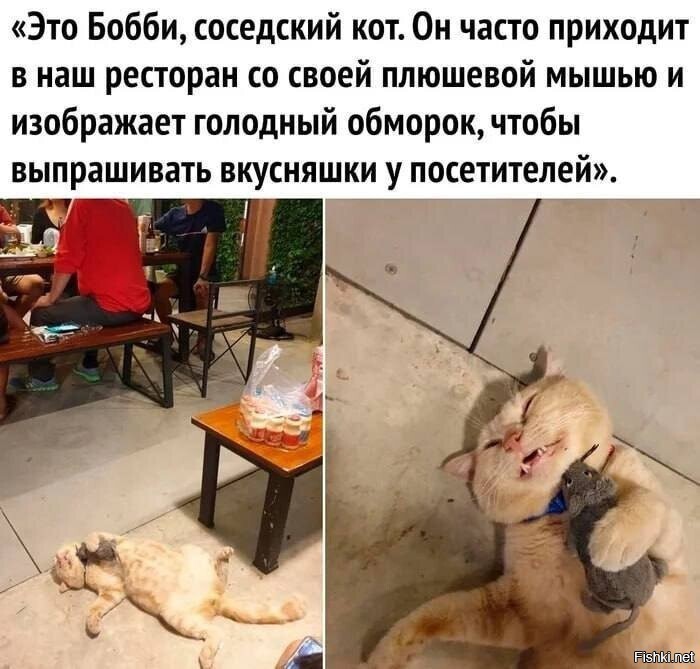 Наш Бобби с рожденья пай-мальчиком был