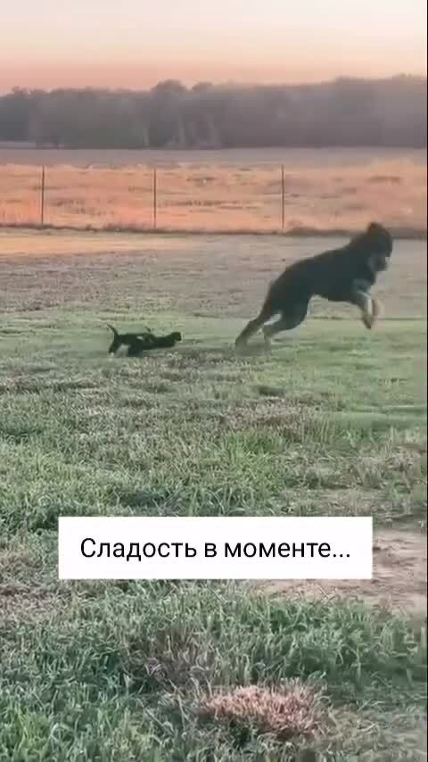 Душевные игры)