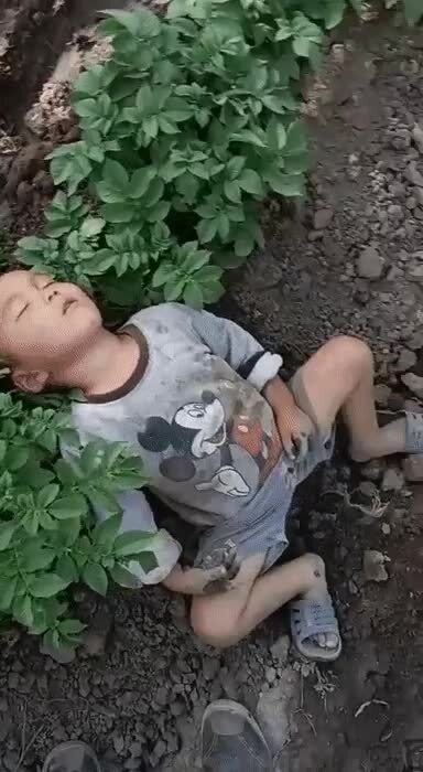 Родина (грядки) не отпускает