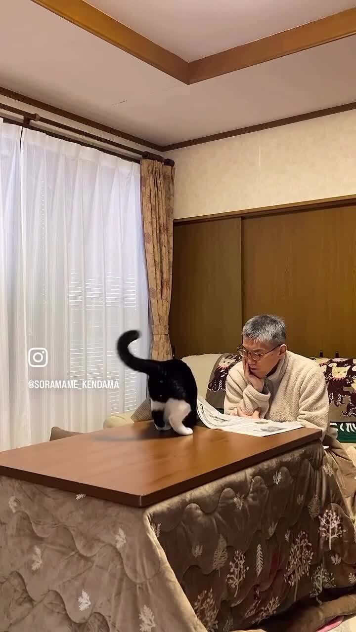 Хочет внимания)