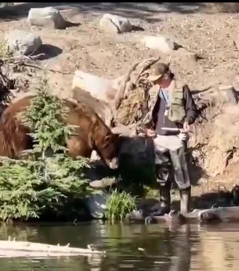 Таёжный рыбнадзор