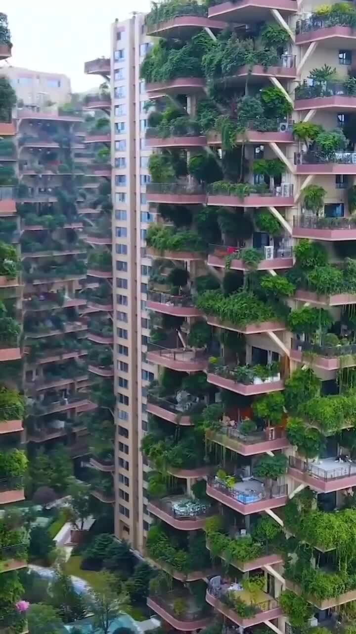 Каменные джунгли, теперь официально