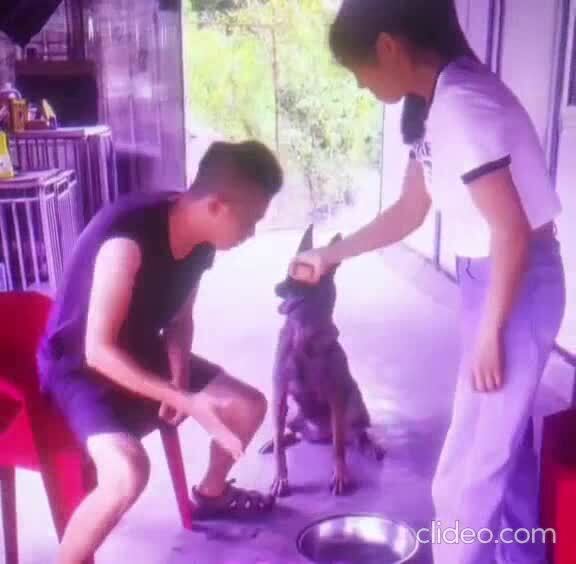 Видно пёс недолюбливает женский пол )))