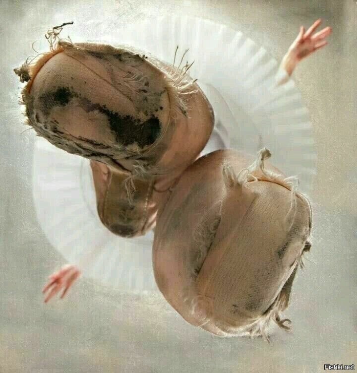 Солянка