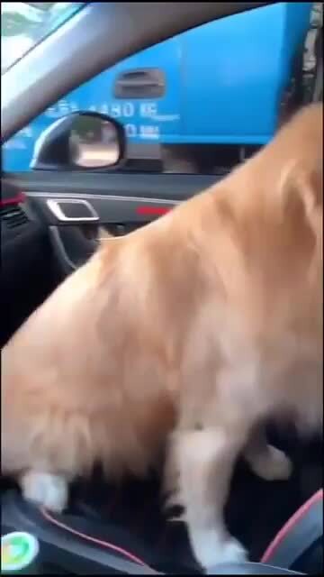 Я скучал и оно само нагрызлось)