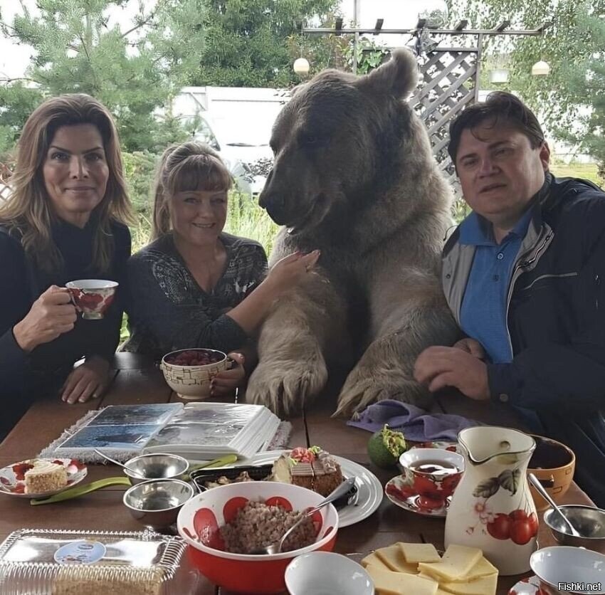 Солянка