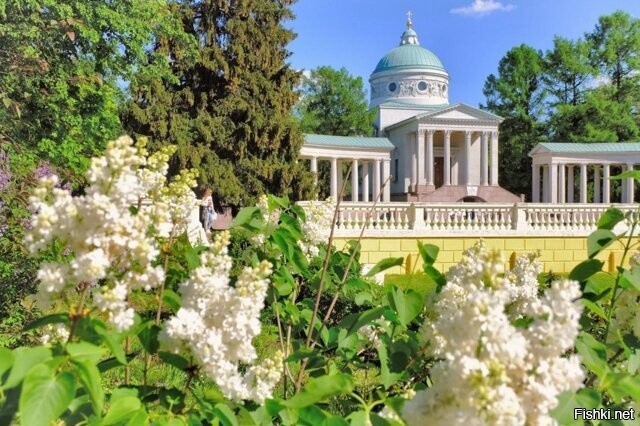 Архангельское