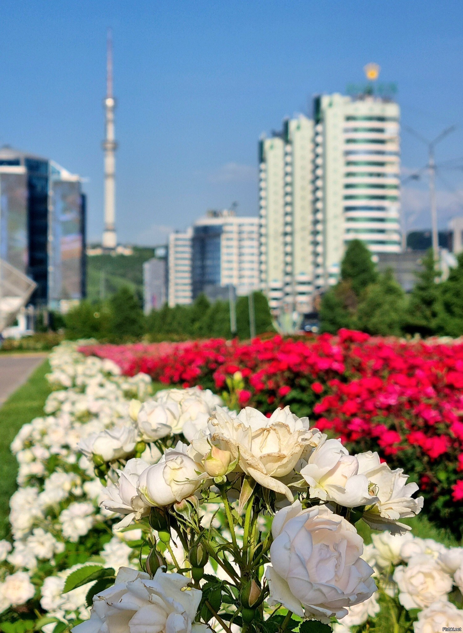 В Алмат-Ате