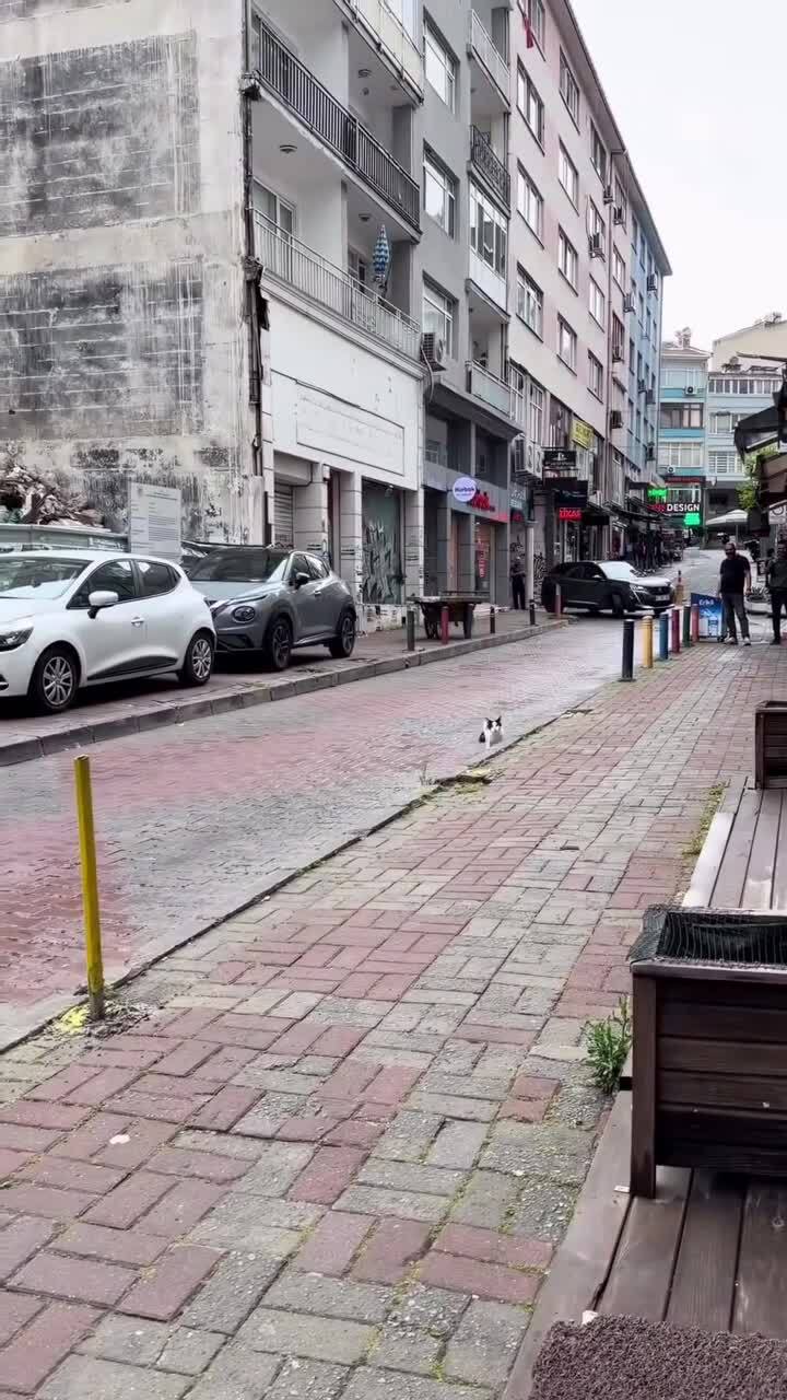 В Стамбуле