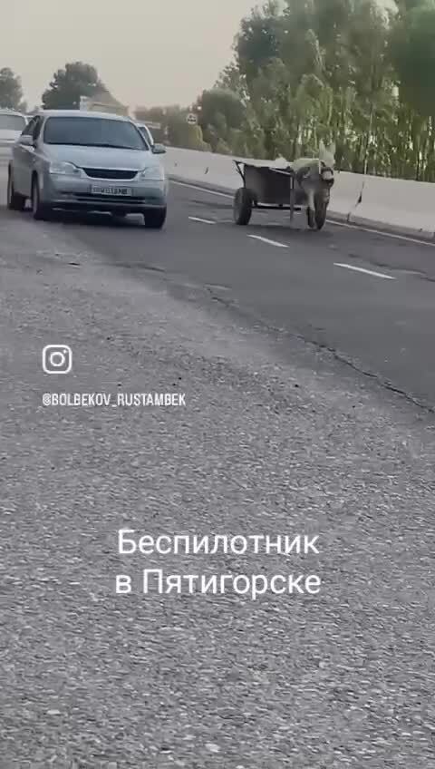 Вот что творится в Пятигорске