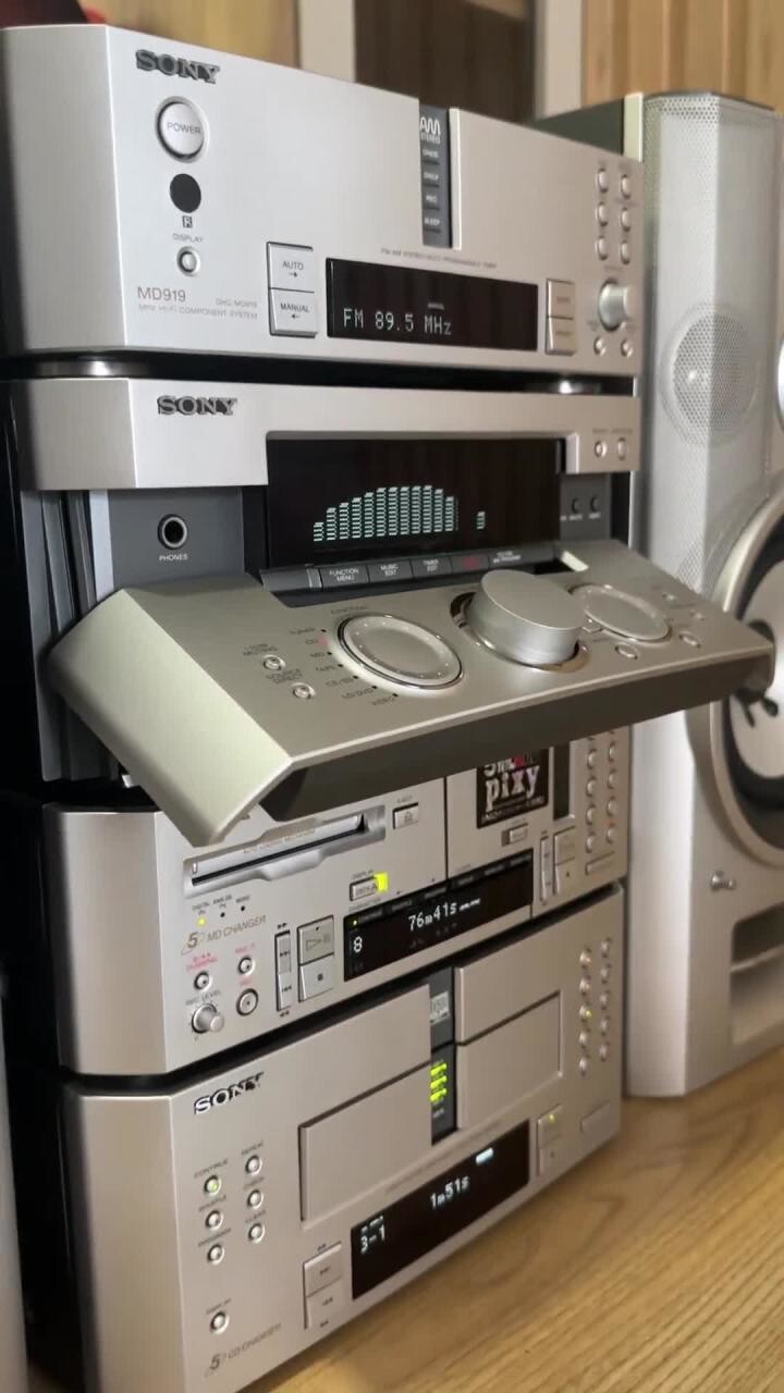 Sony DHC MD919