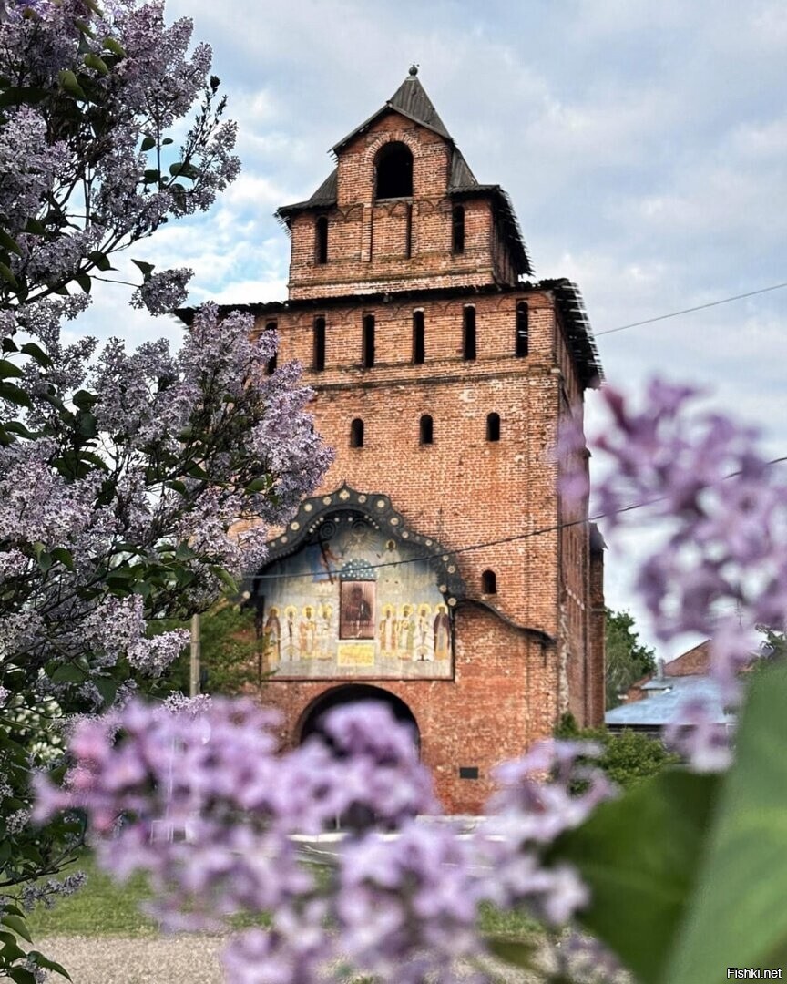 Солянка