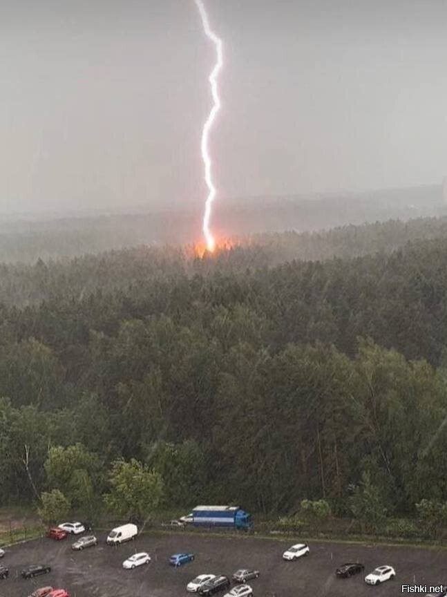 Мощнейшая молния ударила прямо в лес в Дрожжино
