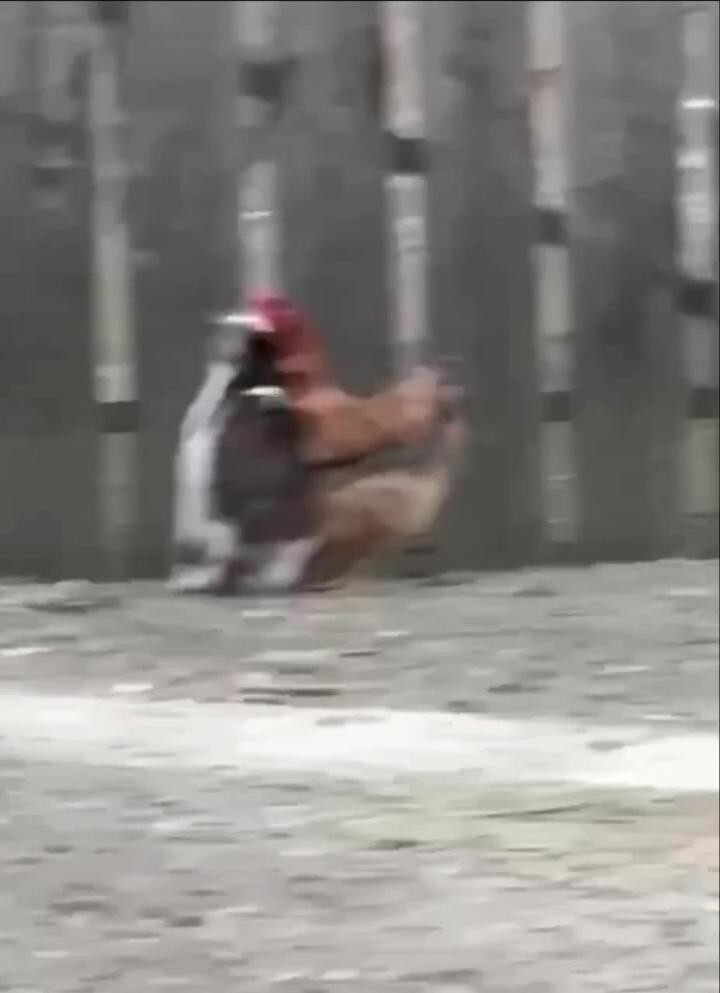 Солянка