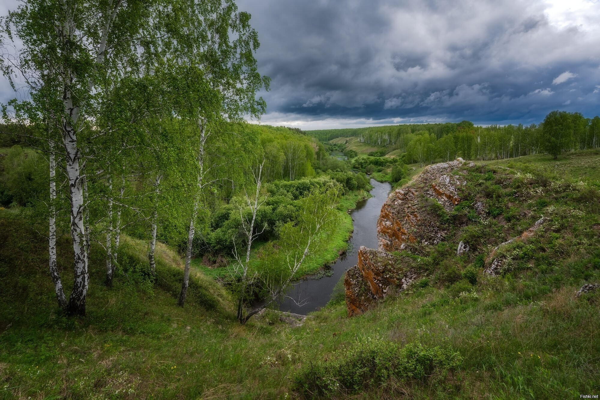 Солянка
