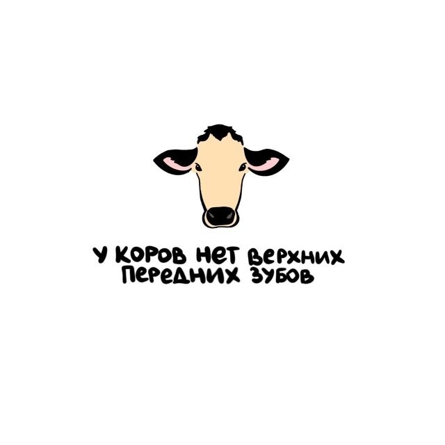 А вдруг ты не знал…