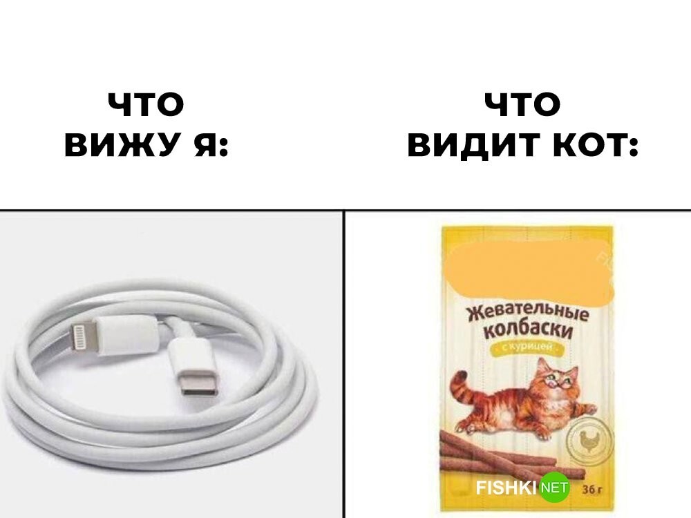 Скрины из соцсетей