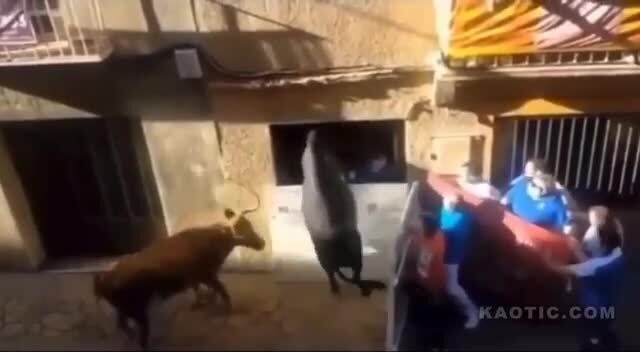 Не на того быканул