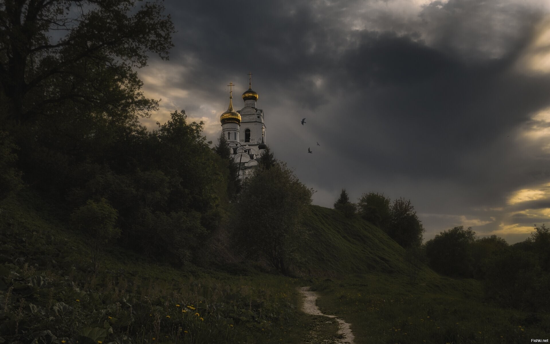 Солянка