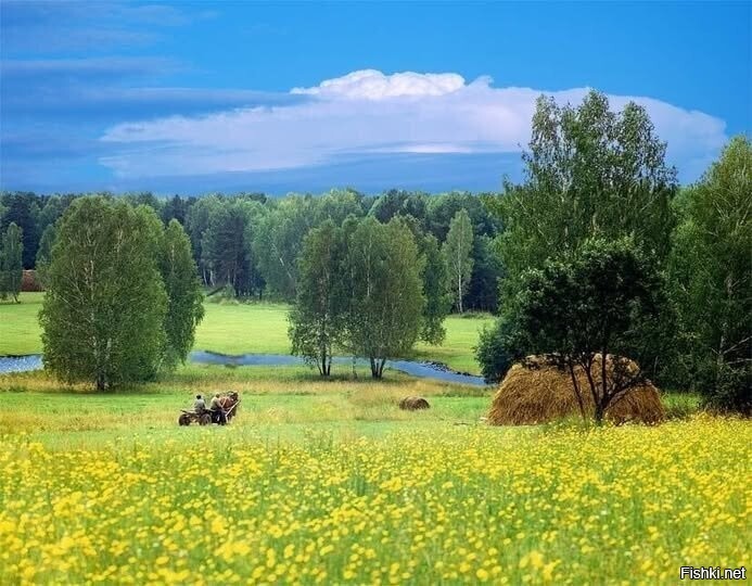 Солянка