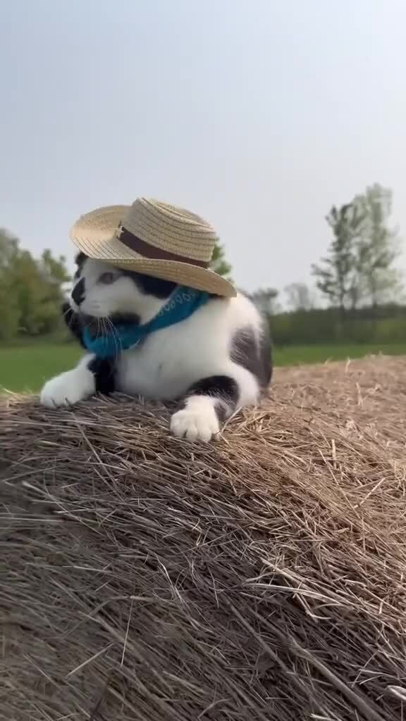 На природе