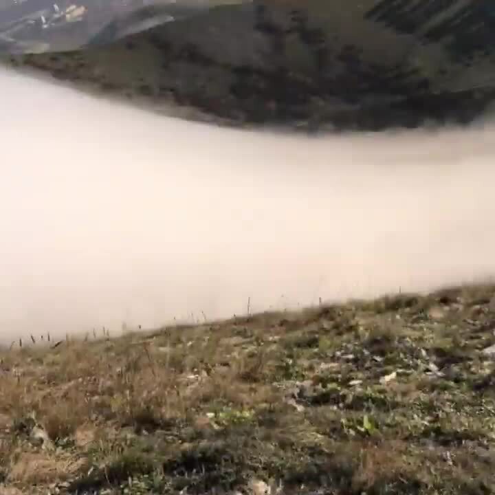 Удивительное природное явление