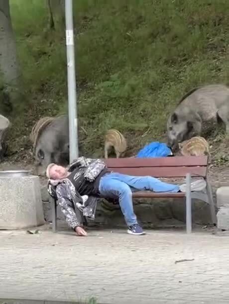 Солянка
