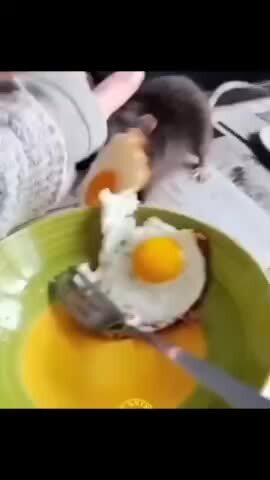 Ля крыса