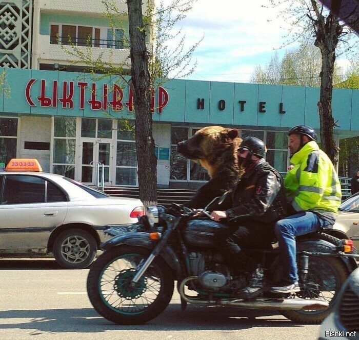 Обычный выходной в Сыктывкаре
