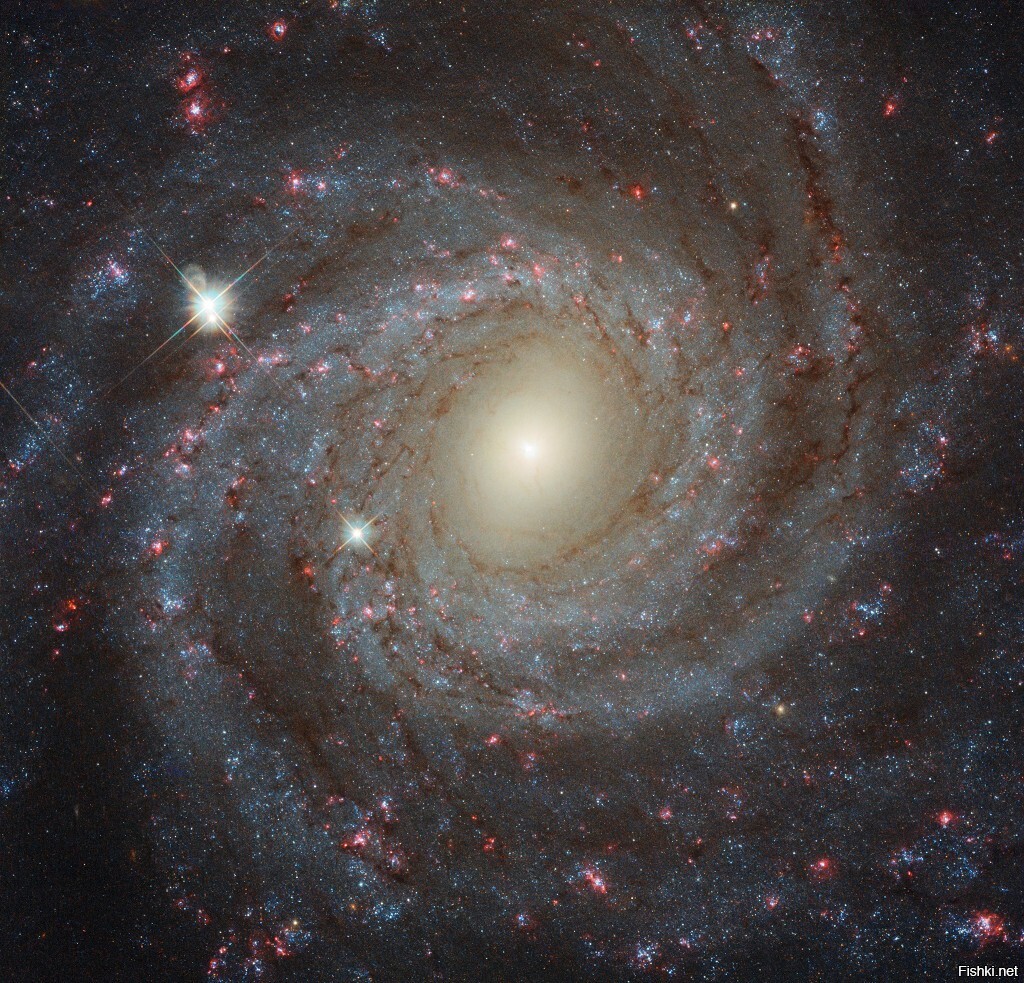 Из нашего выгодного положения в Галактике Млечный Путь мы видим NGC 3344 плашмя