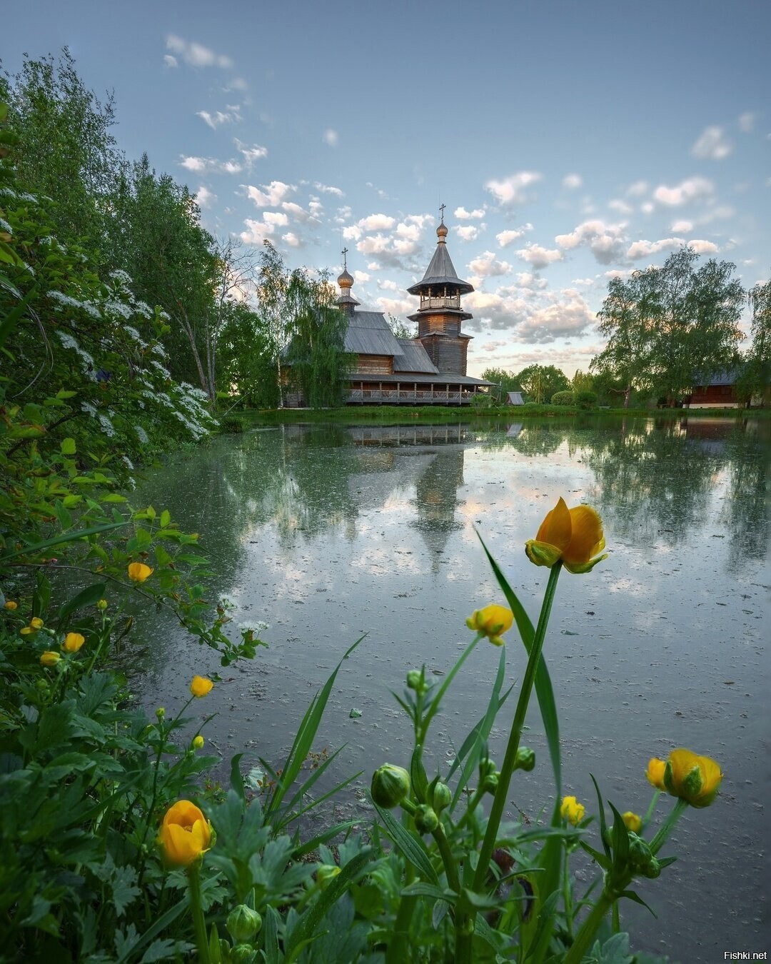 Солянка