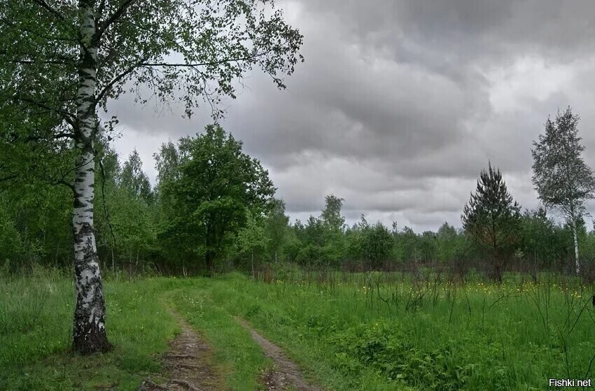 С добрым утром