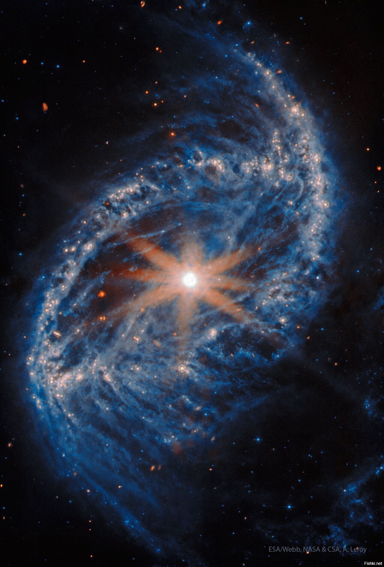 Что происходит в центре спиральной галактики NGC 2566