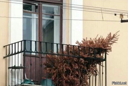 Кажется, кто-то пропустил новый год