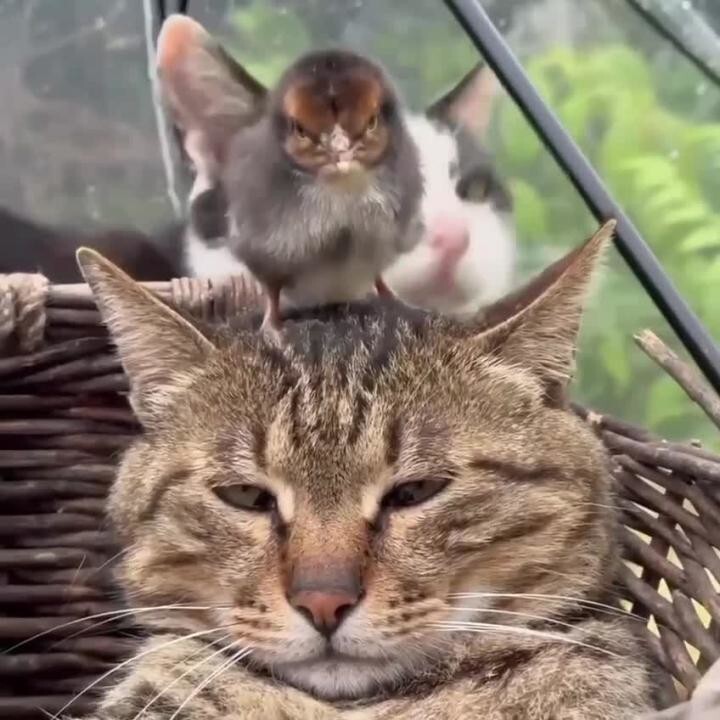 Спокойствие, к которому я стремлюсь