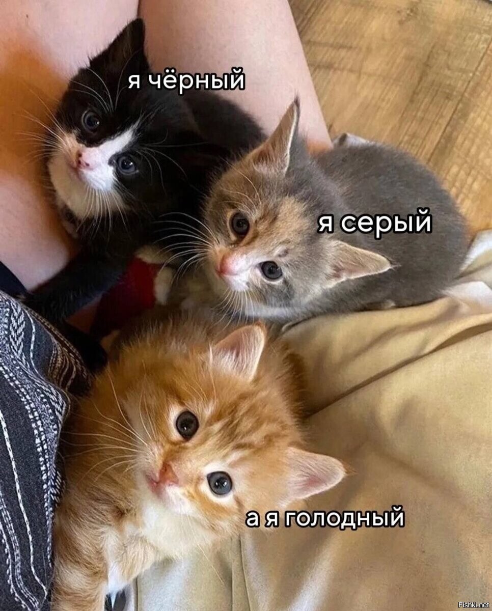 Дело к обеду