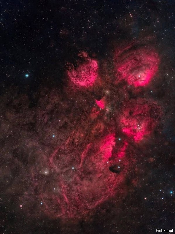 Kошачья лапа — космический след на простораx Галактики