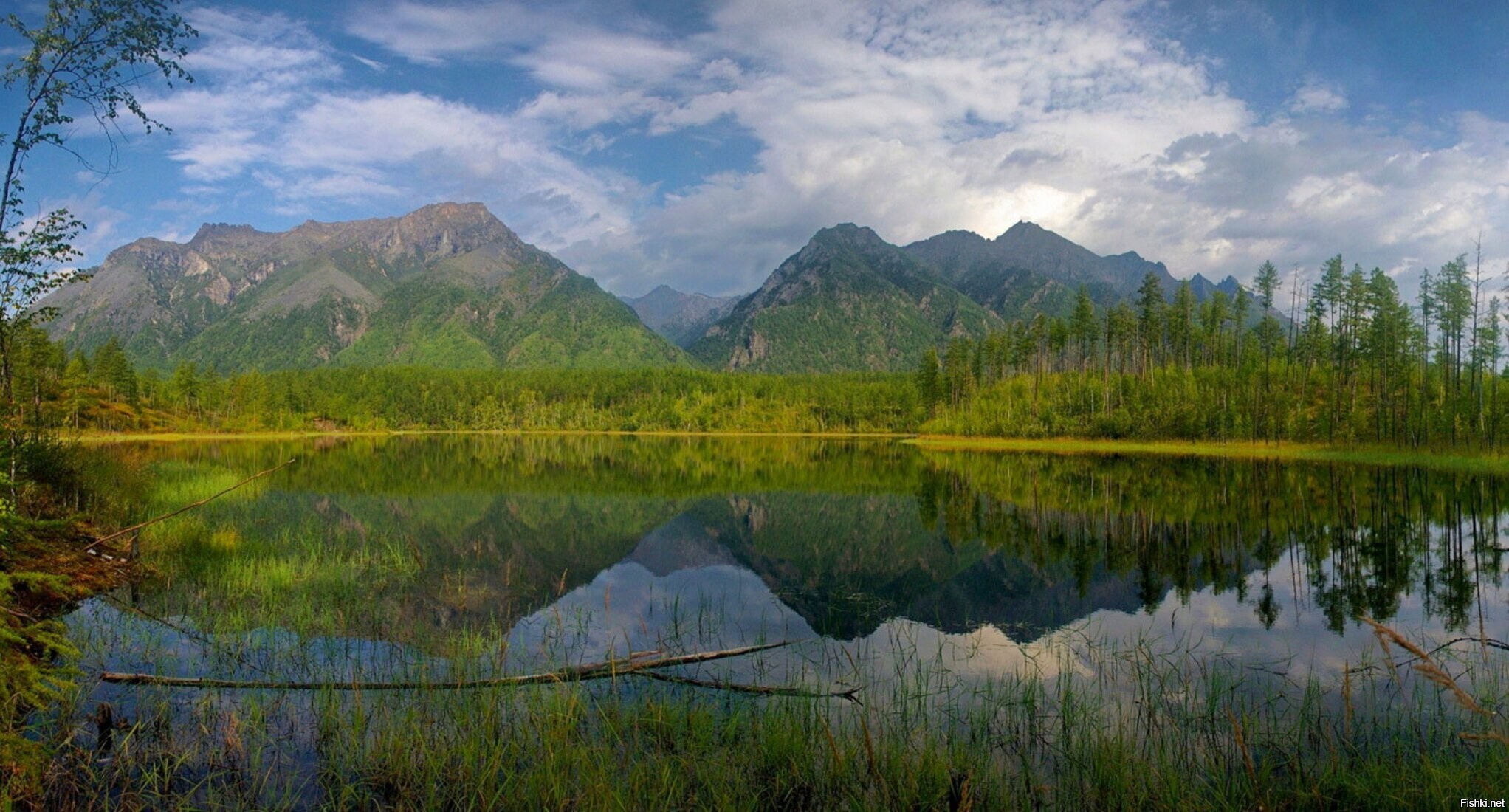 Солянка