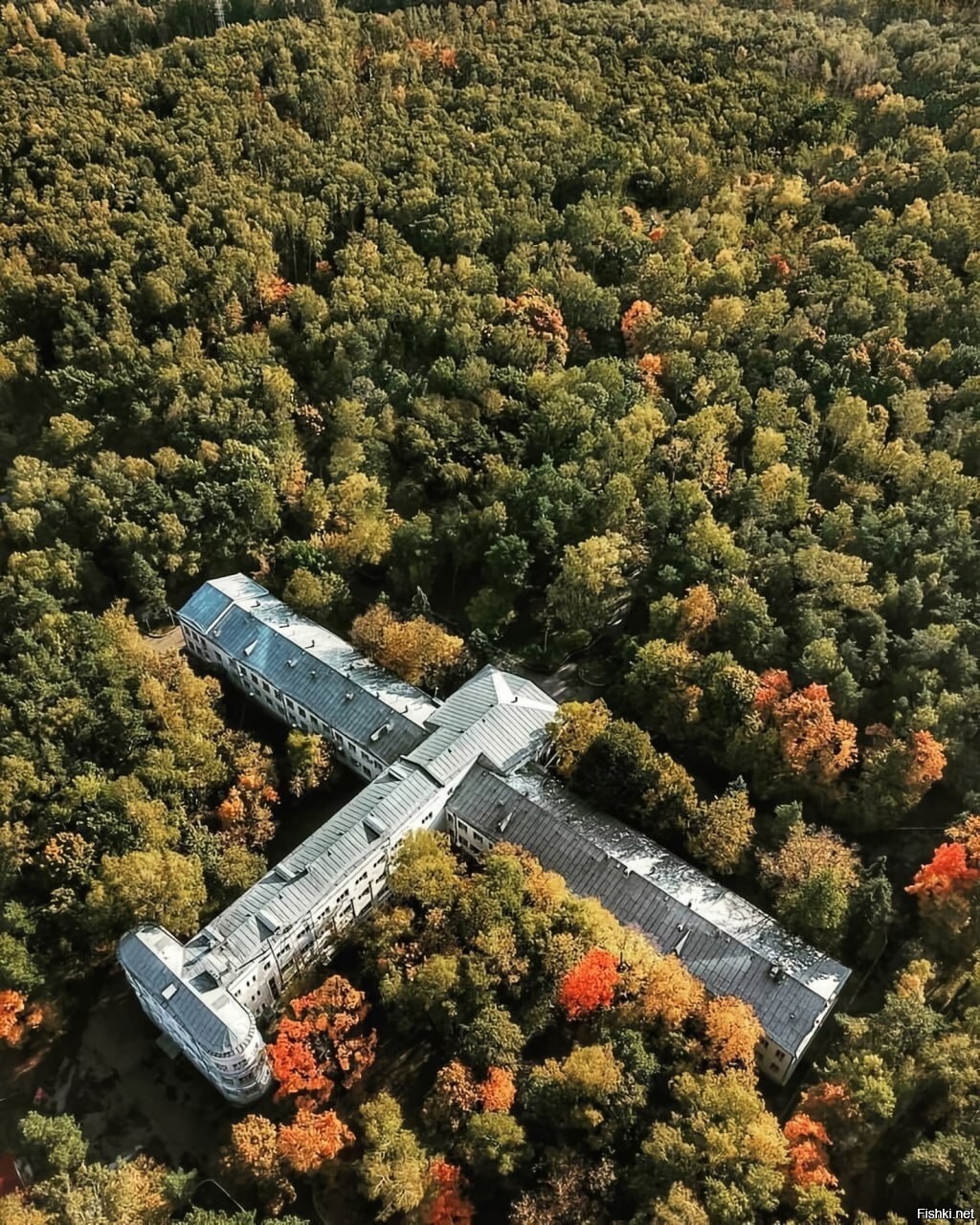 Солянка