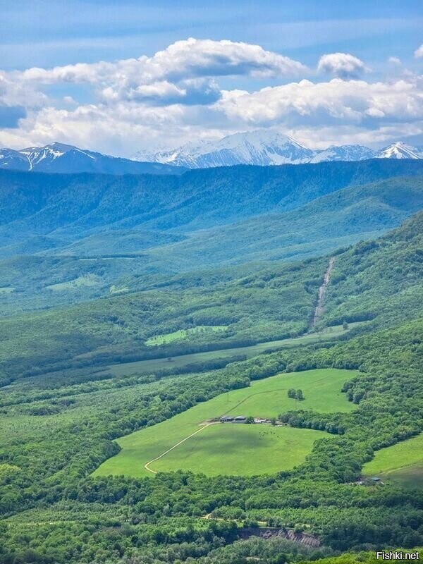 Солянка