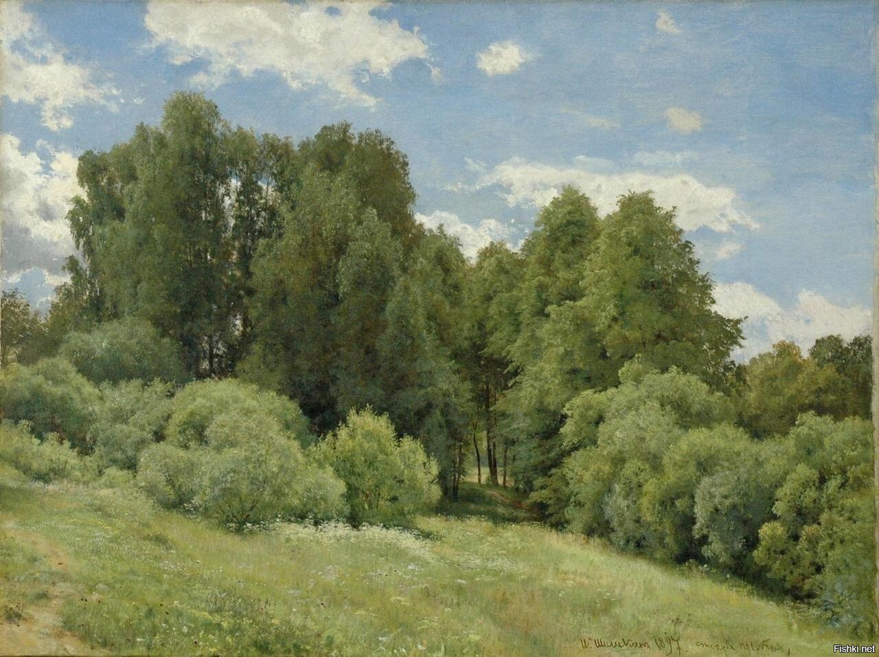 Солянка