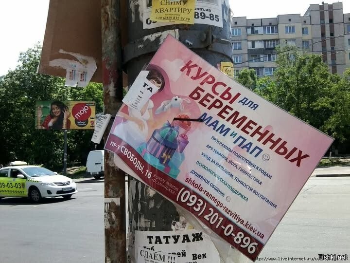 Мужчины беременные есть