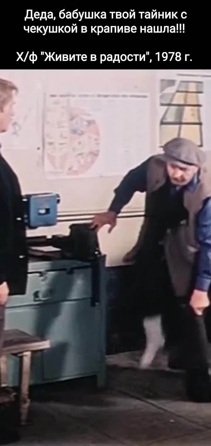 День чекушки