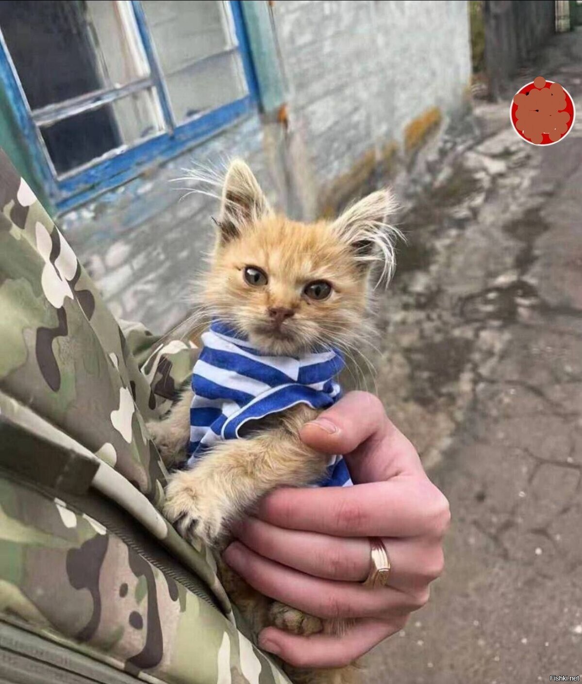 Солянка